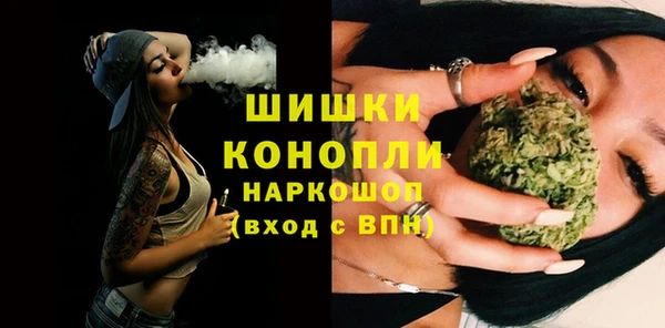 прущие грибы Инта