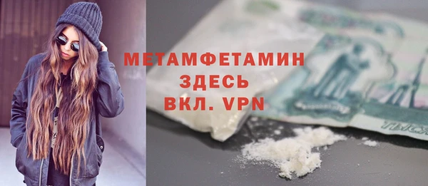 прущие грибы Инта