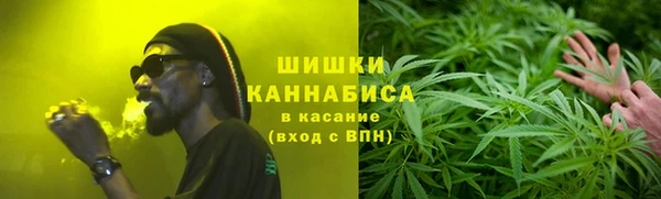 прущие грибы Инта