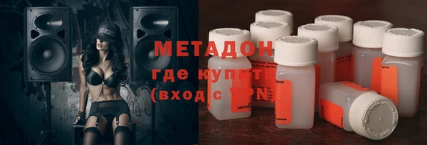 прущие грибы Инта