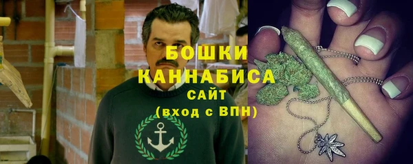 mdpv Инсар