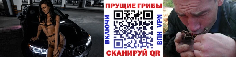 Псилоцибиновые грибы Cubensis  Купить закладки  Знаменск 
